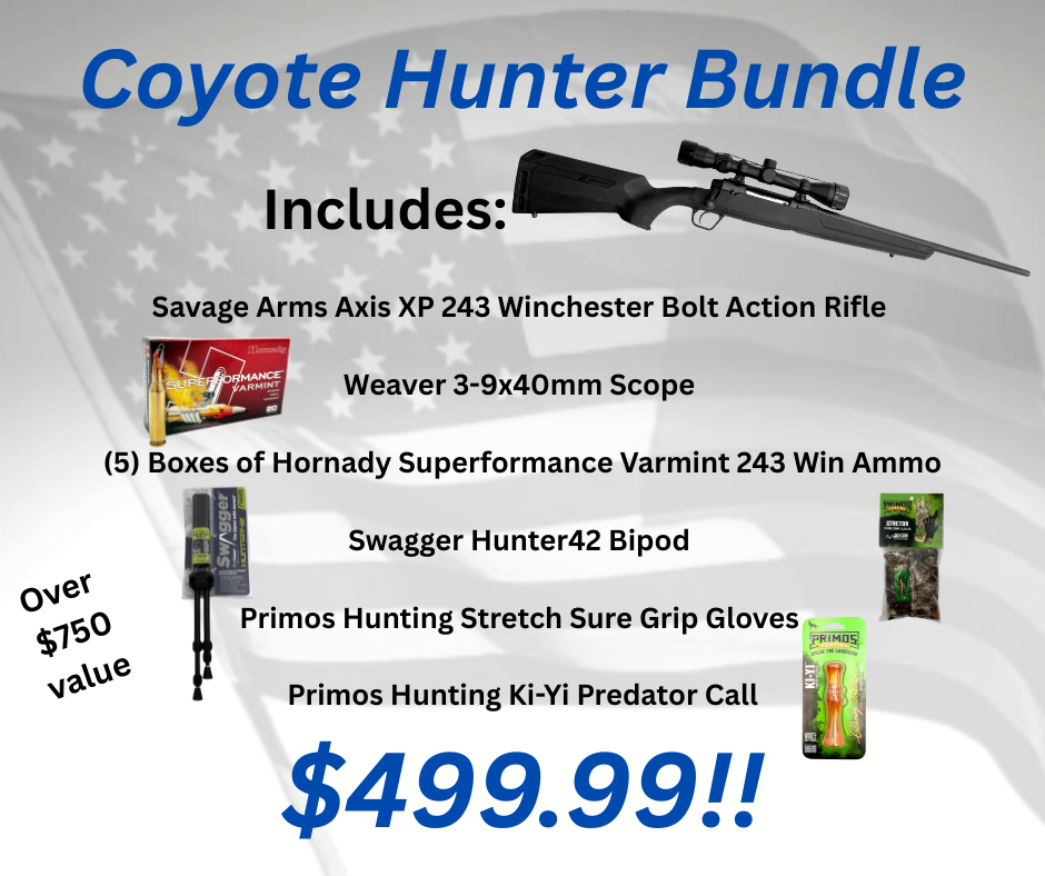 Bundles