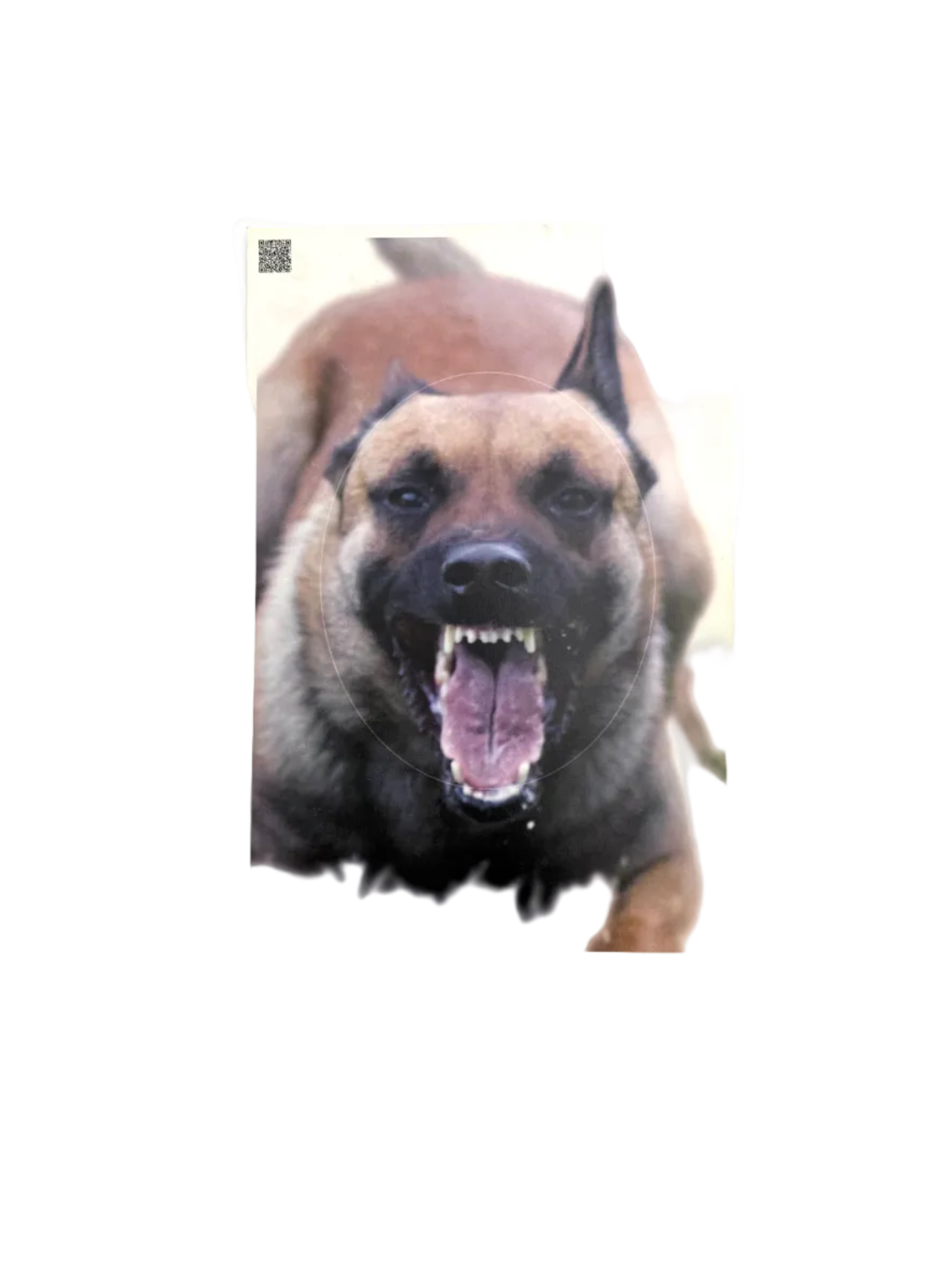 Targets Online - Dog Threat Single #7231152