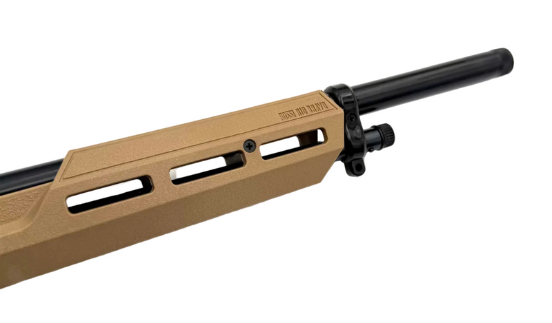 Rossi Rio Bravo .22LR lever action rifle with wooden stock and metal barrel, shown from a side angle on a white background.