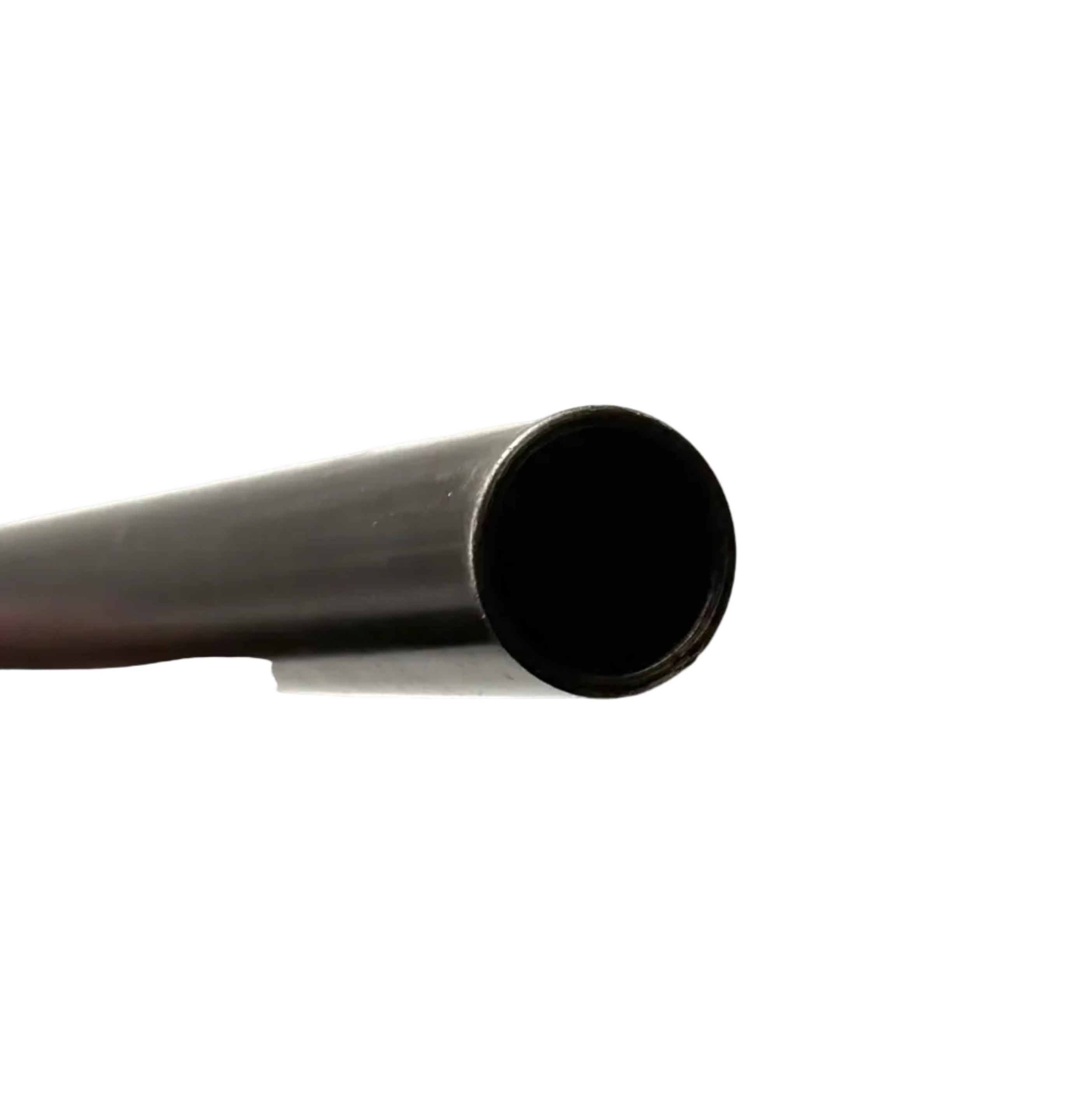 Remington Model 10 12 gauge pump action shotgun with wooden stock and metal barrel, ready for shooting on a plain background