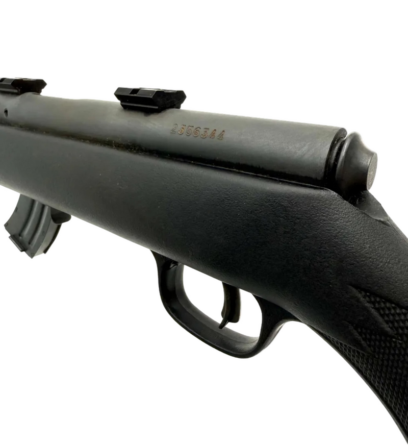 Savage Arms Mark II F .22LR bolt action rifle with wooden stock and iron sights, ready for target shooting or hunting.